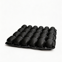 Zori Cushion